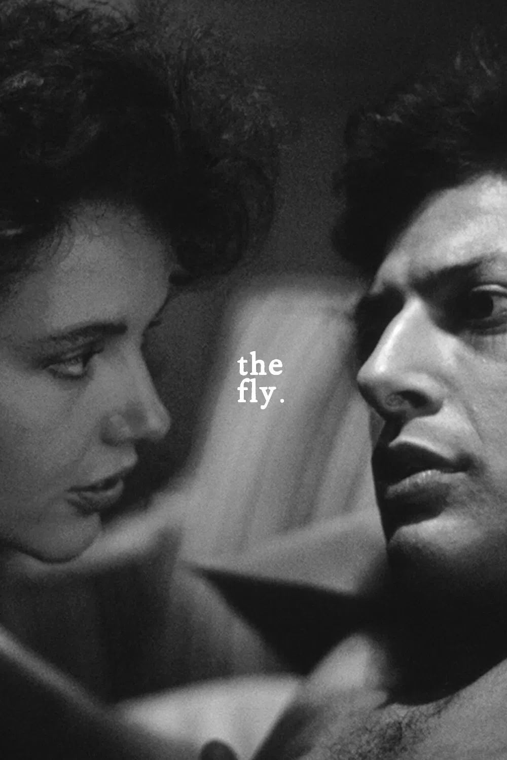 The Fly