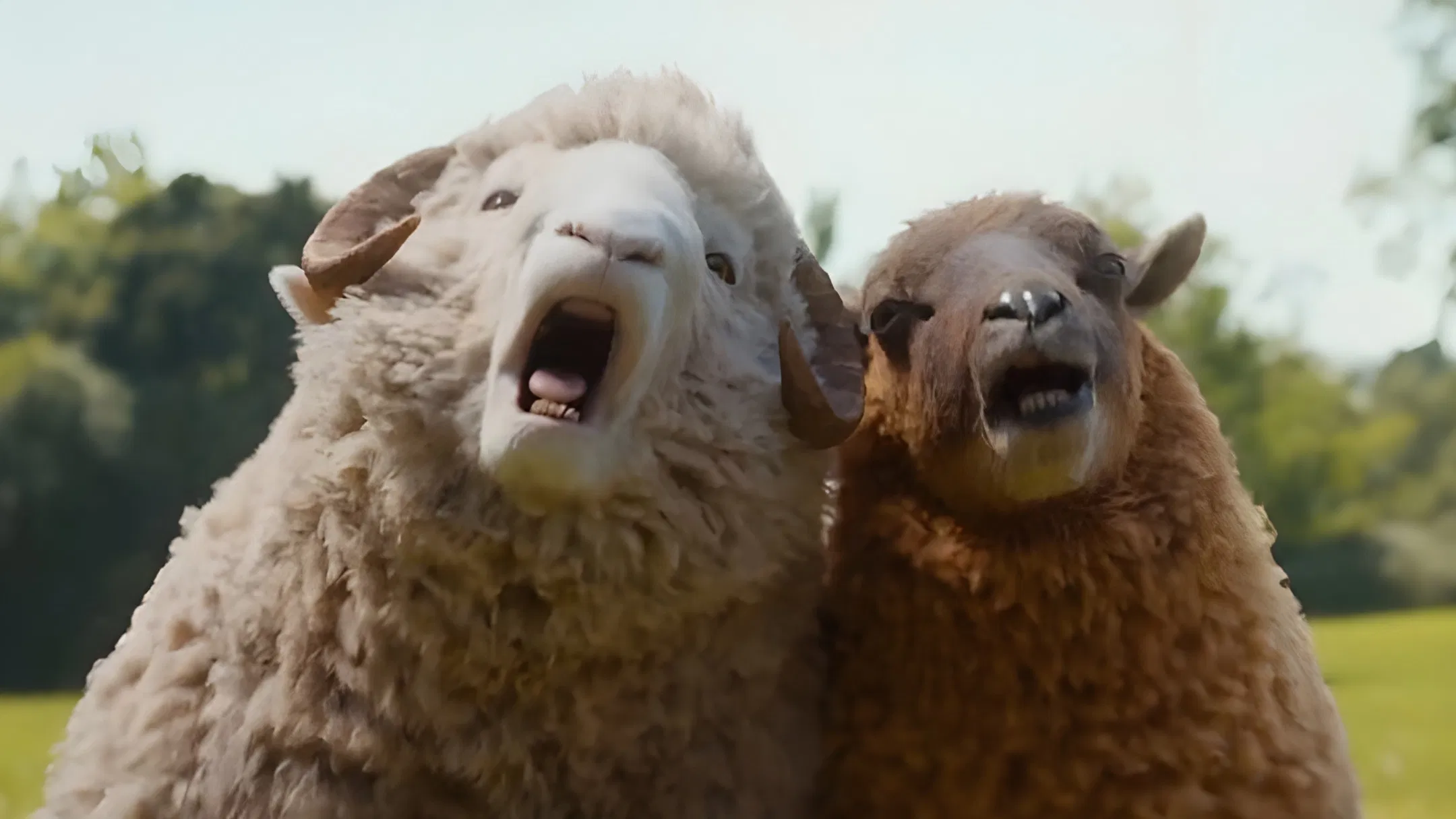 The Sheep Detectives — still 3
