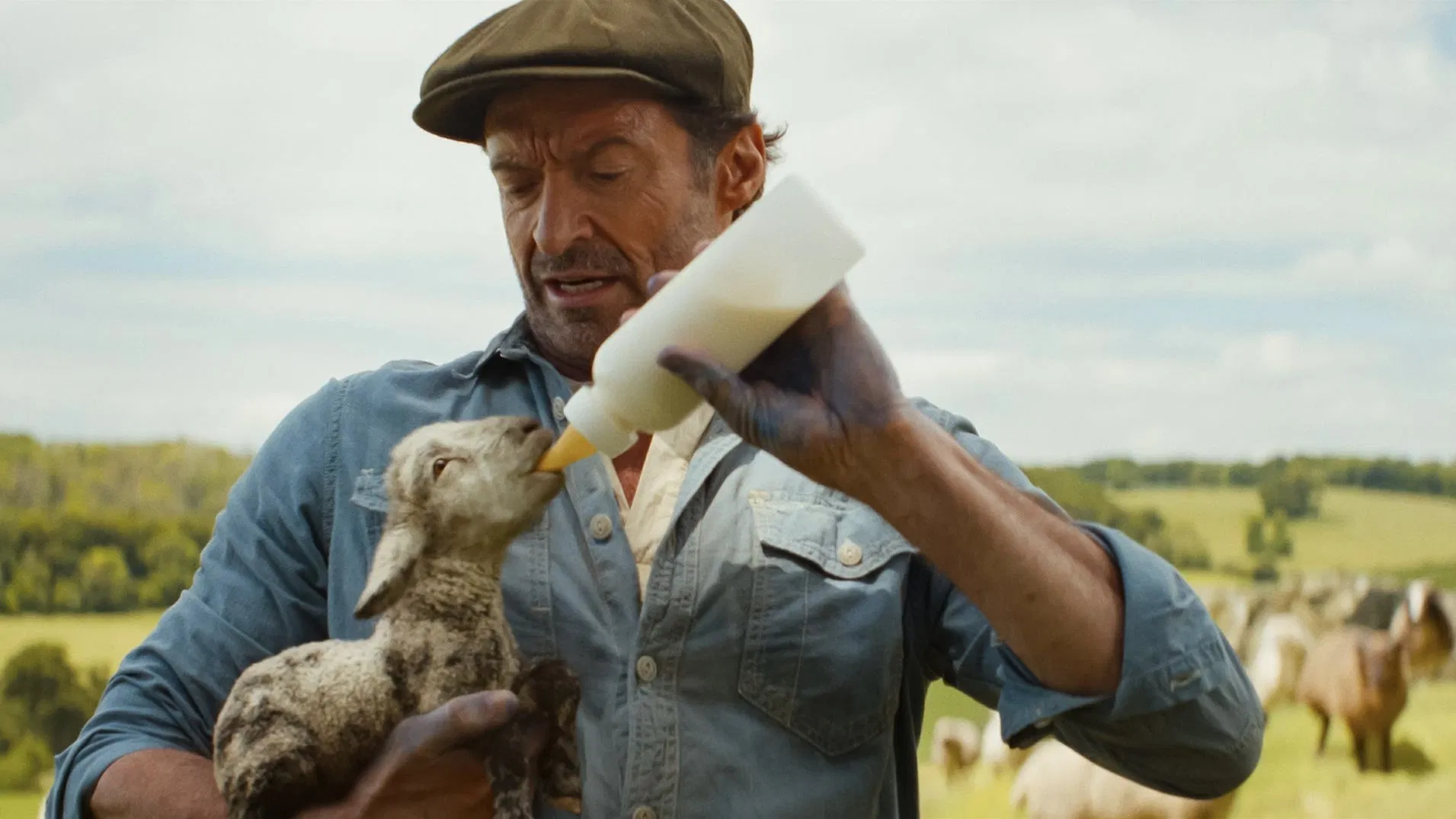The Sheep Detectives — still 4